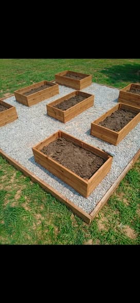 Garden Box